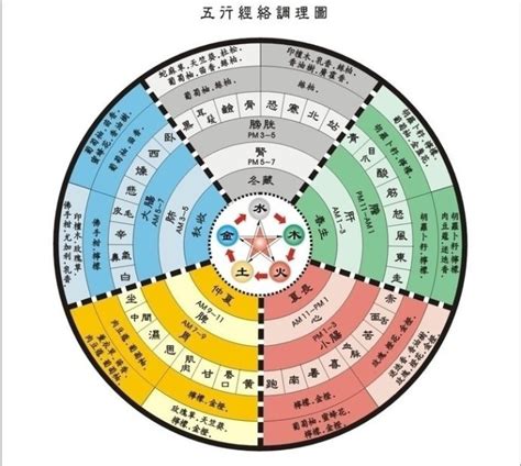 星桥五术|星僑五術 正式版